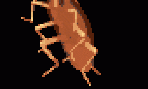cockroach-dancing